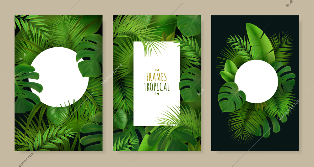 Realistic set of three frames of different shape decorated with tropical green leaves isolated vector illustration