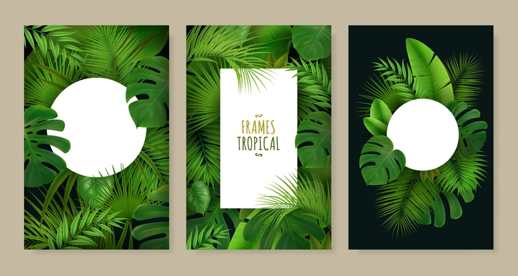 Realistic set of three frames of different shape decorated with tropical green leaves isolated vector illustration