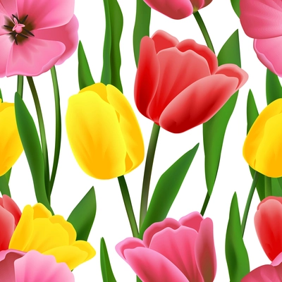 Multicolored beautiful blossoming blooming tulip flower seamless pattern vector illustration.