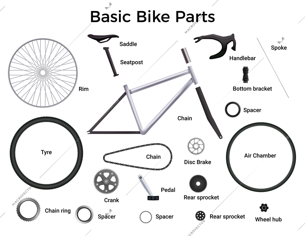 Realistic bicycle parts set with isolated images of bike elements with text captions for each part vector illustration