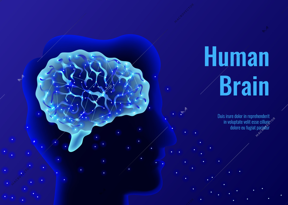 Neurology brain human background composition with glowing particles and human head silhouette with human brain image vector illustration