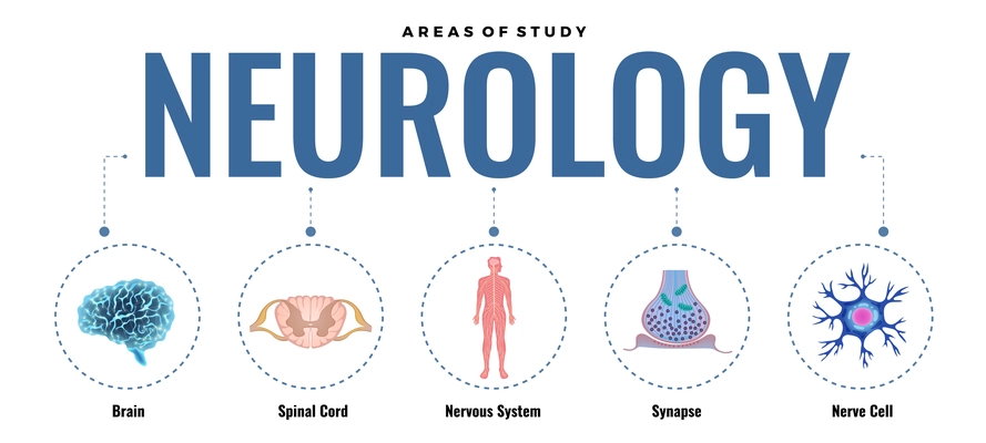 Neurology composition with editable text dashed lines and round images with elements of human nervous system vector illustration