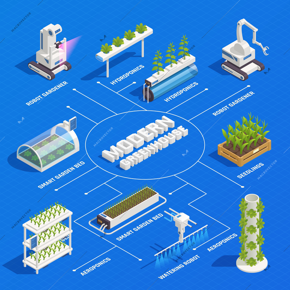 Modern greenhouse smart plant beds robots gardeners hydroponic and aeroponic systems germinated seedlings isometric flowchart vector illustration