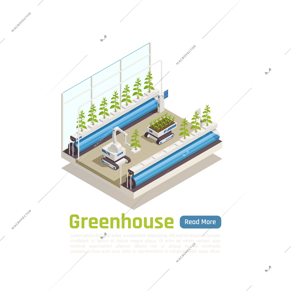 Modern hydroponic greenhouse gardening isometric composition with remote controlled robot planting seedlings in grow trays vector illustration