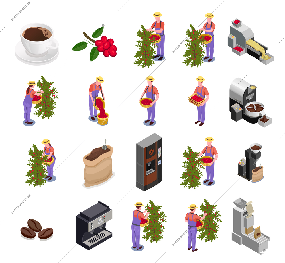 Coffee industry production isometric icons set with plantation fruit harvesting sorting roasting processing packing machine vector illustration