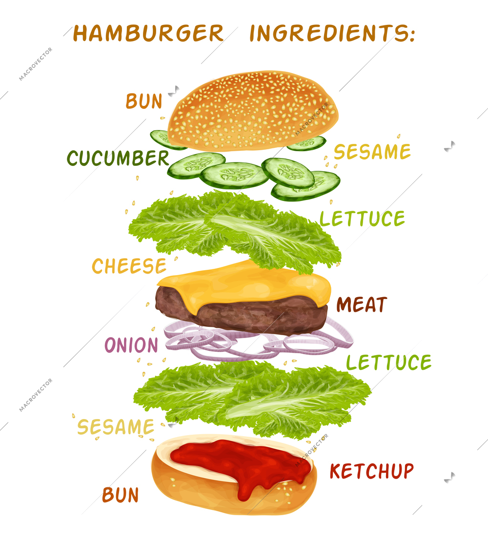 Hamburger sandwich ingredients set of bun cucumber meat ketchup vector illustration