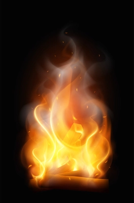 Camp fire flame realistic composition with colourful vertical image of wire with smoke on black background vector illustration