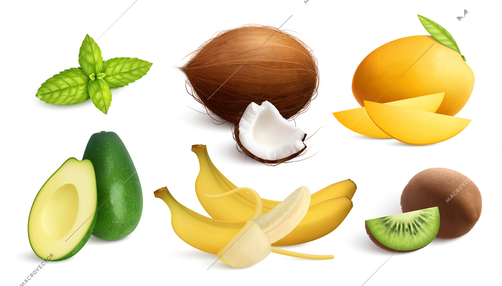 Exotic fruits mint realistic set with isolated images of solid ripe fruits and slices with shadows vector illustration