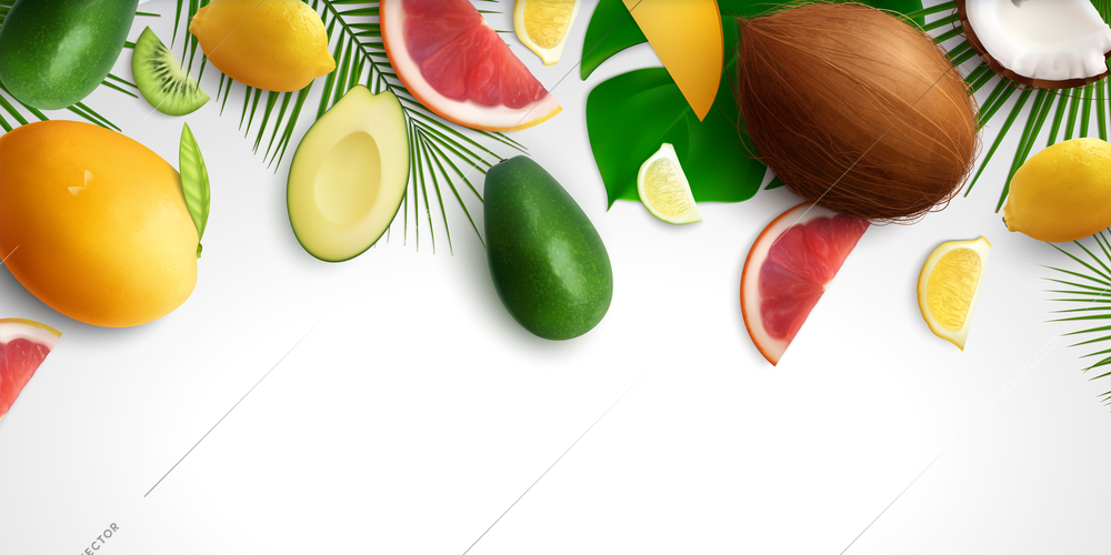 Exotic fruits leaves realistic background with composition of tropical fruit slices and leaves on blank background vector illustration