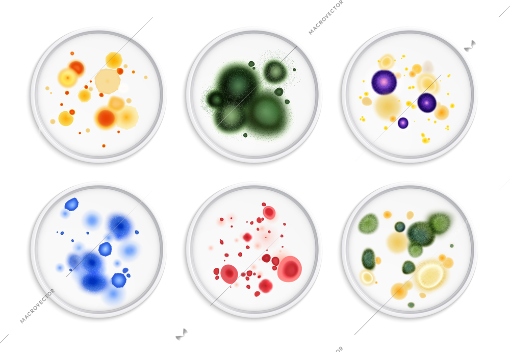 Mold fungus bacteria colony spots realistic set with round images of different moldiness lifeforms in colour vector illustration