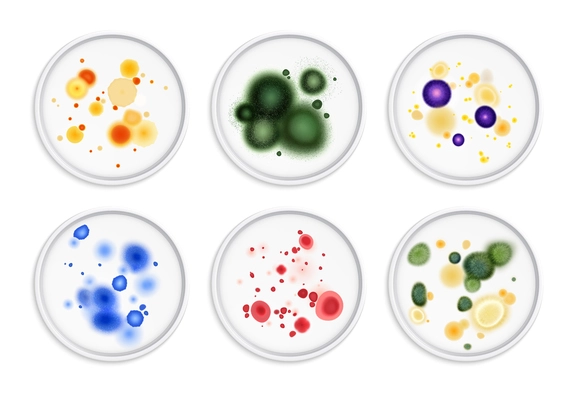 Mold fungus bacteria colony spots realistic set with round images of different moldiness lifeforms in colour vector illustration