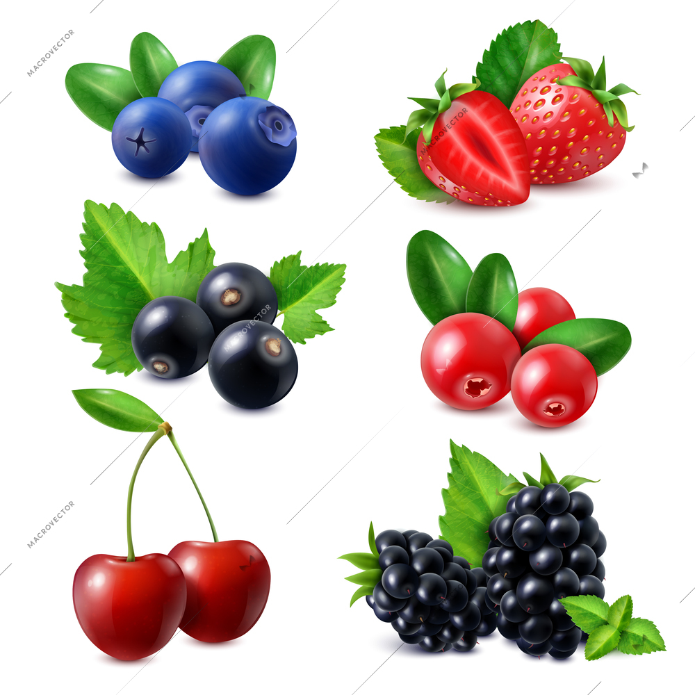 Berries realistic set of strawberry bilberry cowberry blackberry currant cherry isolated vector illustration