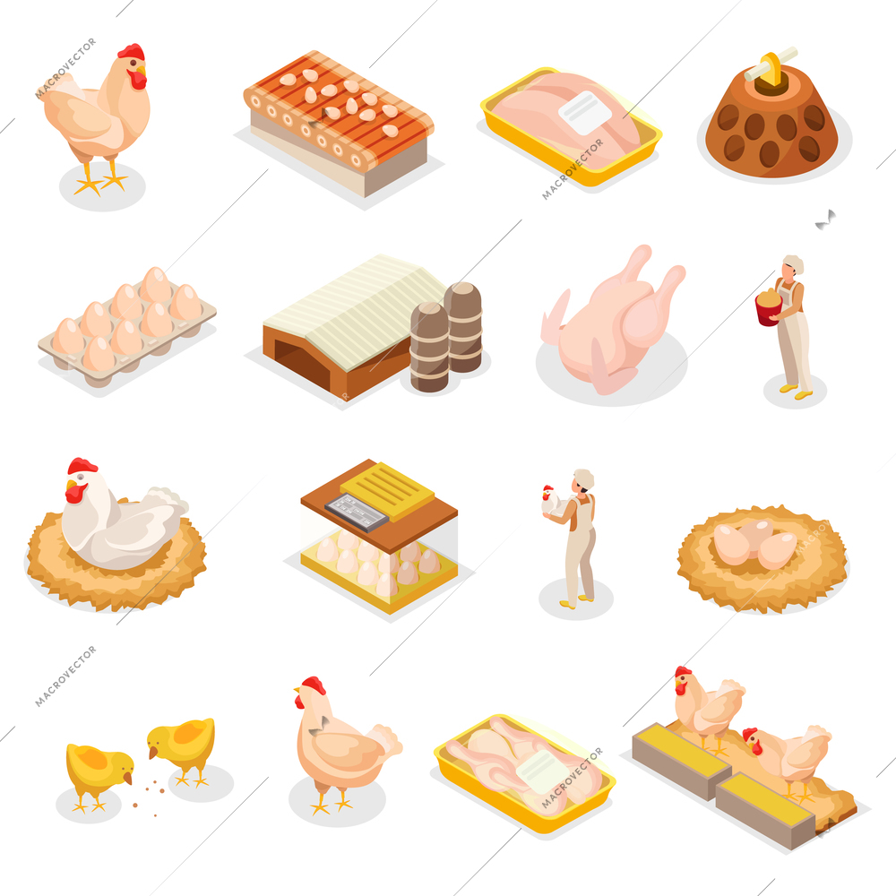 Chicken farm set with sixteen isolated isometric icons of poultry products images of animals and workers vector illustration