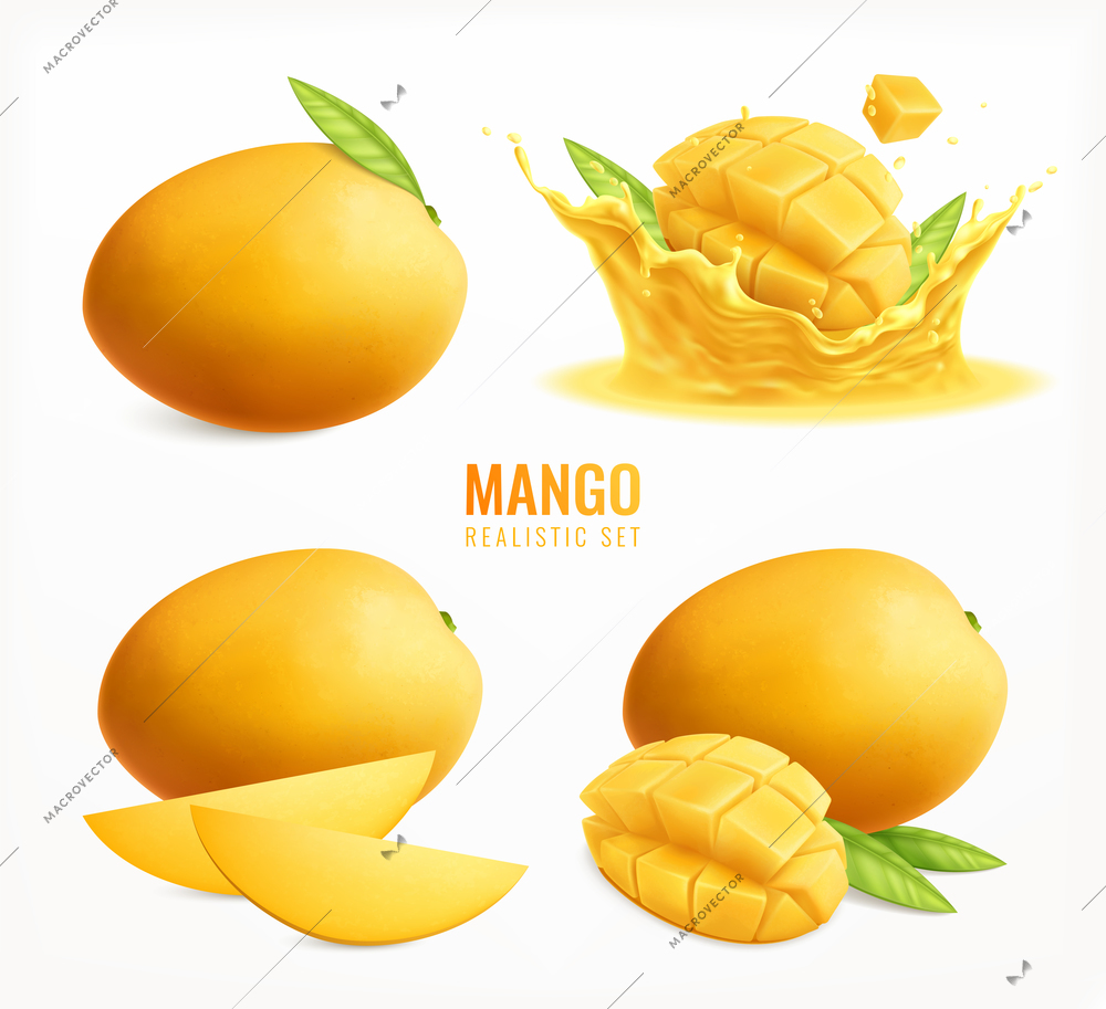 Mango set with realistic isolated images of whole ripe fruits with leaves and slices water splash vector illustration