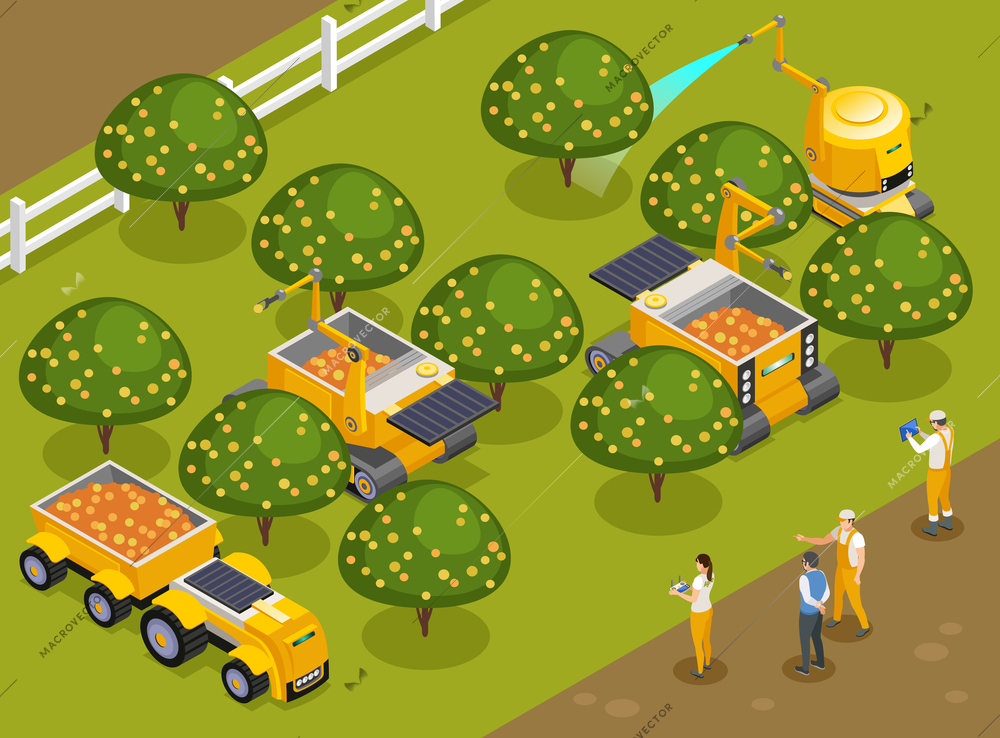 Agricultural robots orchard harvesting  isometric composition with automated machinery picking fruits and watering trees vector illustration