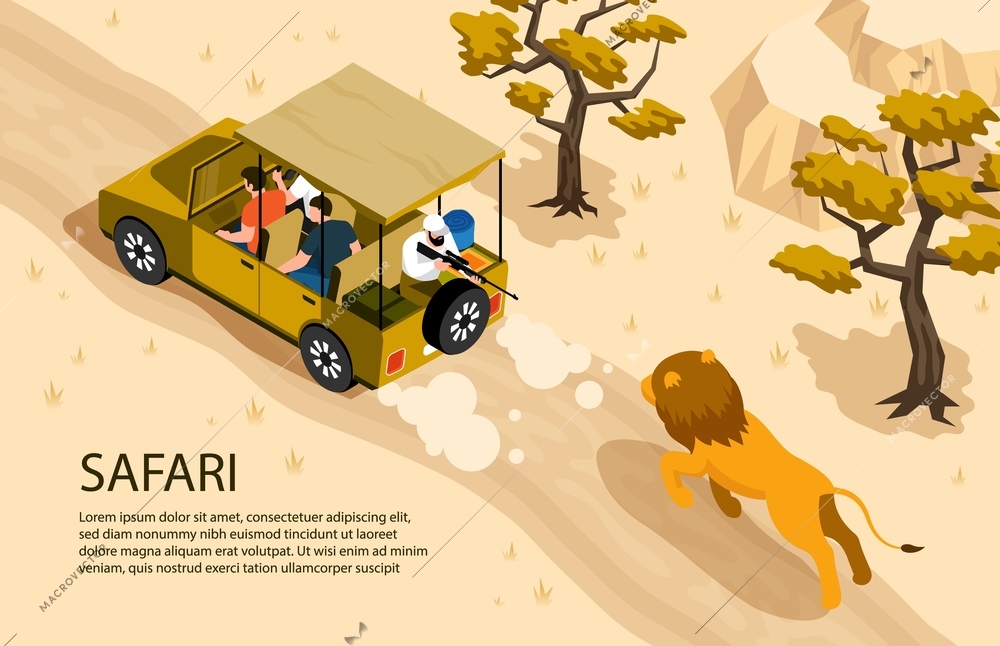 Lion running after safari car and man with gun 3d isometric horizontal vector illustration