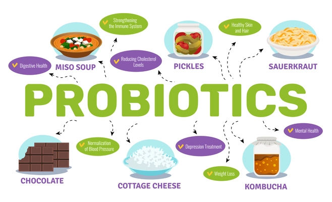 Probiotics and health concept with food and bacteria symbols flat vector illustration