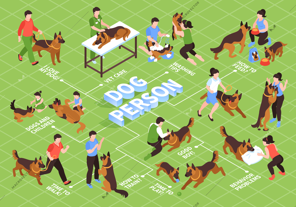 Isometric one day dog flowchart with dog masters and trainers human characters with animals and text vector illustration