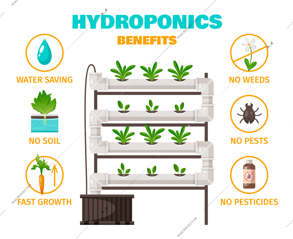 Hydroponics benefits concept with water saving and fast growth symbols cartoon vector illustration