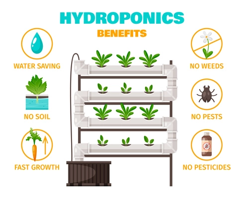 Hydroponics benefits concept with water saving and fast growth symbols cartoon vector illustration