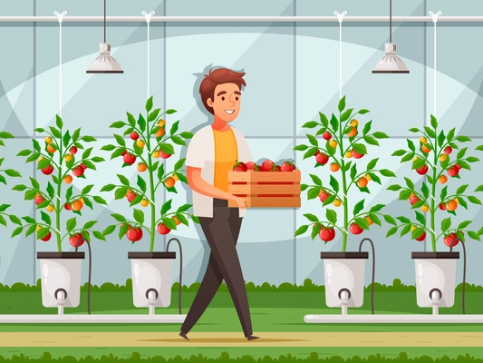 Greenhouse farming with production technology and selling symbols cartoon vector illustration