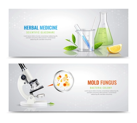 Mold fungus bacteria horizontal banners with realistic images of herbs microscope and colony spots with text vector illustration