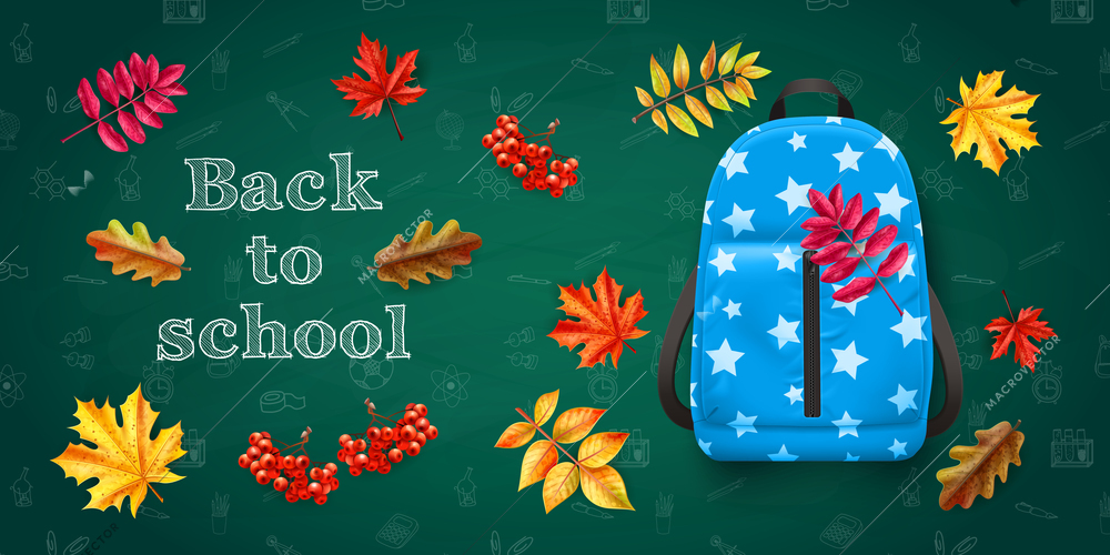 Back to school realistic background with blue backpack and colorful autumn leaves vector illustration