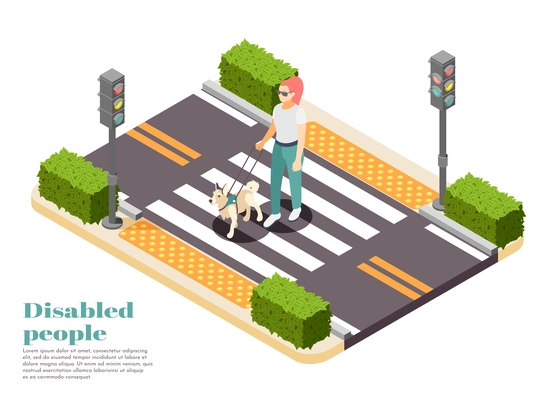 Disabled people isometric background with dog guide taking blind woman across road vector illustration