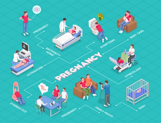 Pregnancy isometric flowchart with pregnant women consulting gynecologist parents and newborn babies 3d vector illustration