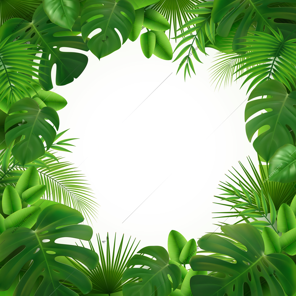 Tropical leaves palm branch realistic transparent frame composition with empty circle space surrounded by green leaves vector illustration