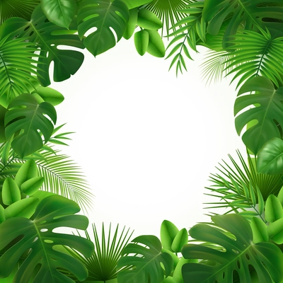 Tropical leaves palm branch realistic transparent frame composition with empty circle space surrounded by green leaves vector illustration