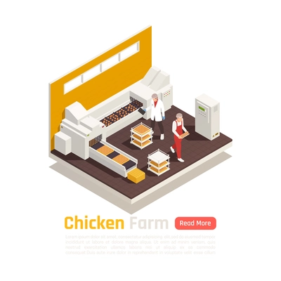 Layer poultry farming production isometric element with chicken eggs on automated  conveyor belt packaging system vector illustration