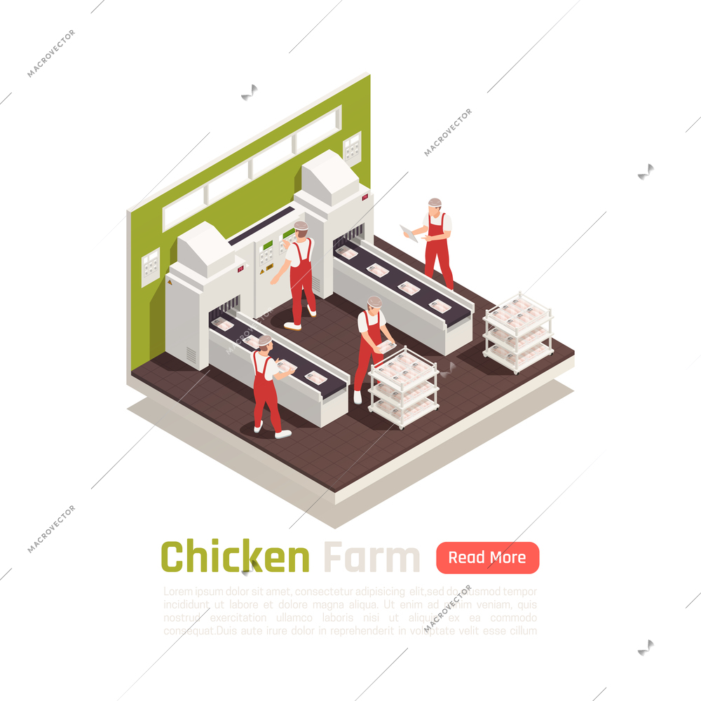Poultry farm industrial production facility with chicken meat on automated conveyor belt packaging system isometric vector illustration