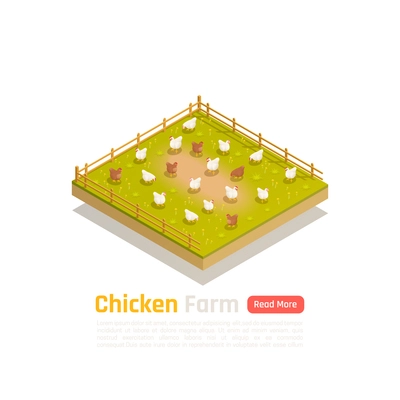 Organic free range bio poultry farm isometric composition with grass fed chickens within fenced pasture vector illustration