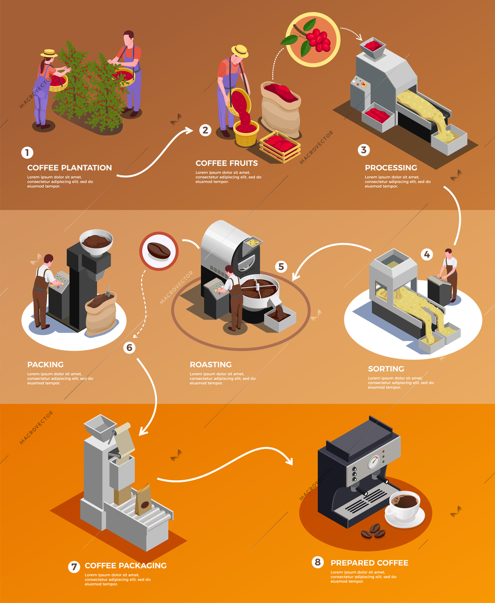 Coffee industry production from seed to cup isometric infographic poster with   processing harvested beans packing brewing vector illustration