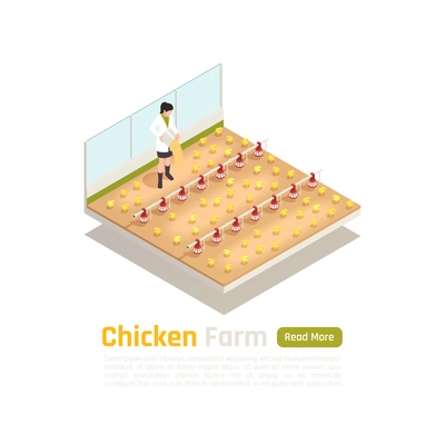 Broiler poultry stock production isometric composition with modern newly hatched chicks breeder technologies internal facility vector illustration