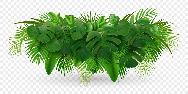 Tropical leaves palm branch realistic composition with image of green leaf pile isolated on transparent background vector illustration