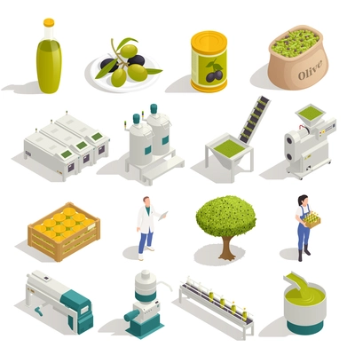 Olive production isometric icons set with fruit harvesting oil extraction filling  packaging automated line isolated vector illustration