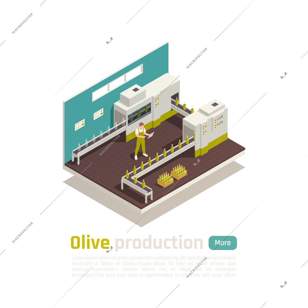 Olive olive production isometric composition with bottling line conveyor operator checking ready for transportation boxes vector illustration