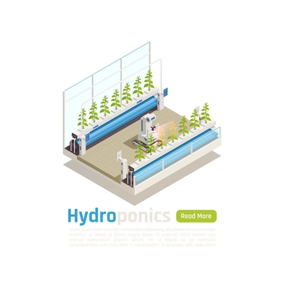 Modern hydroponic and aeroponic gardening isometric composition with automated greenhouse planten beds robotic control promotion vector illustration