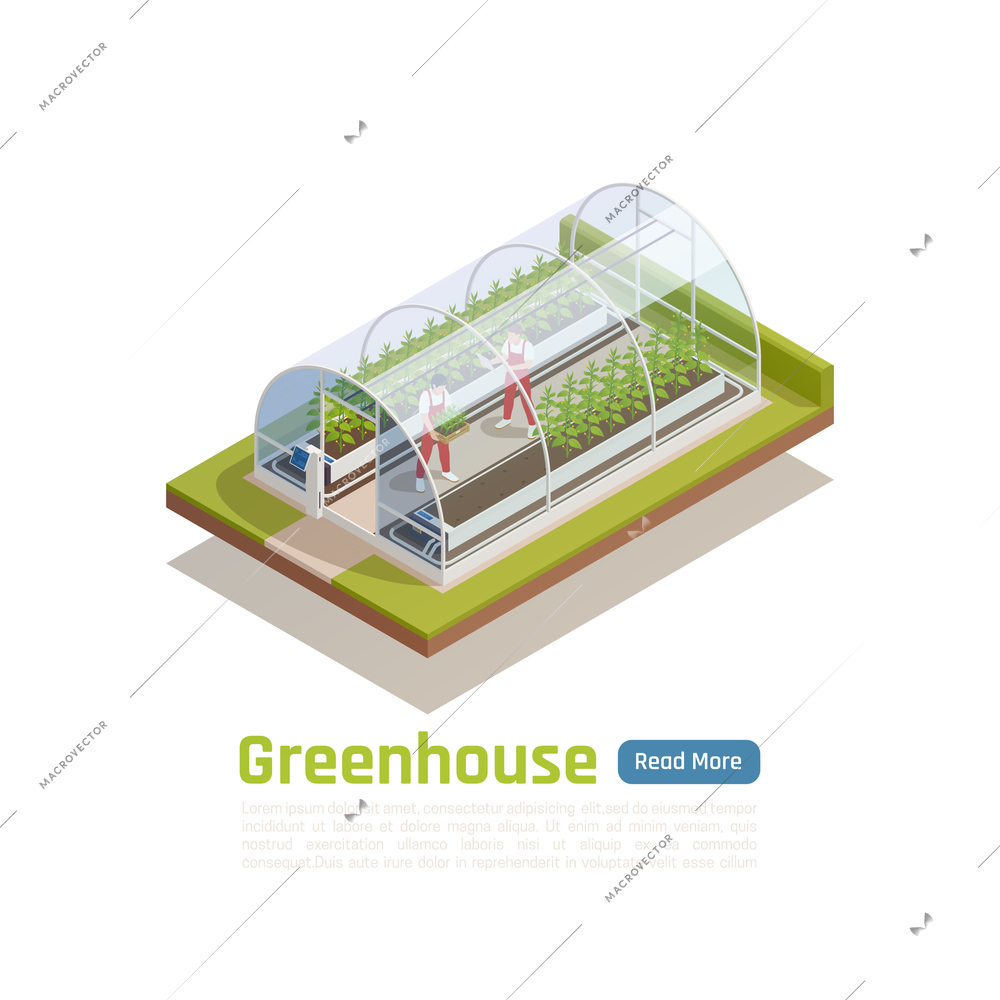 Modern hydroponic greenhouse outdoor isometric view with 2 workers planting seedlings and controlling climate conditions vector illustration