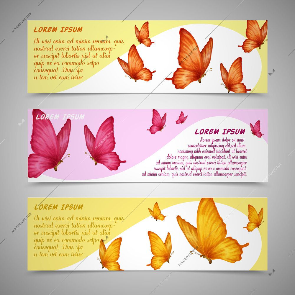 Colorful romantic butterflies decoration horizontal banners set isolated vector illustration