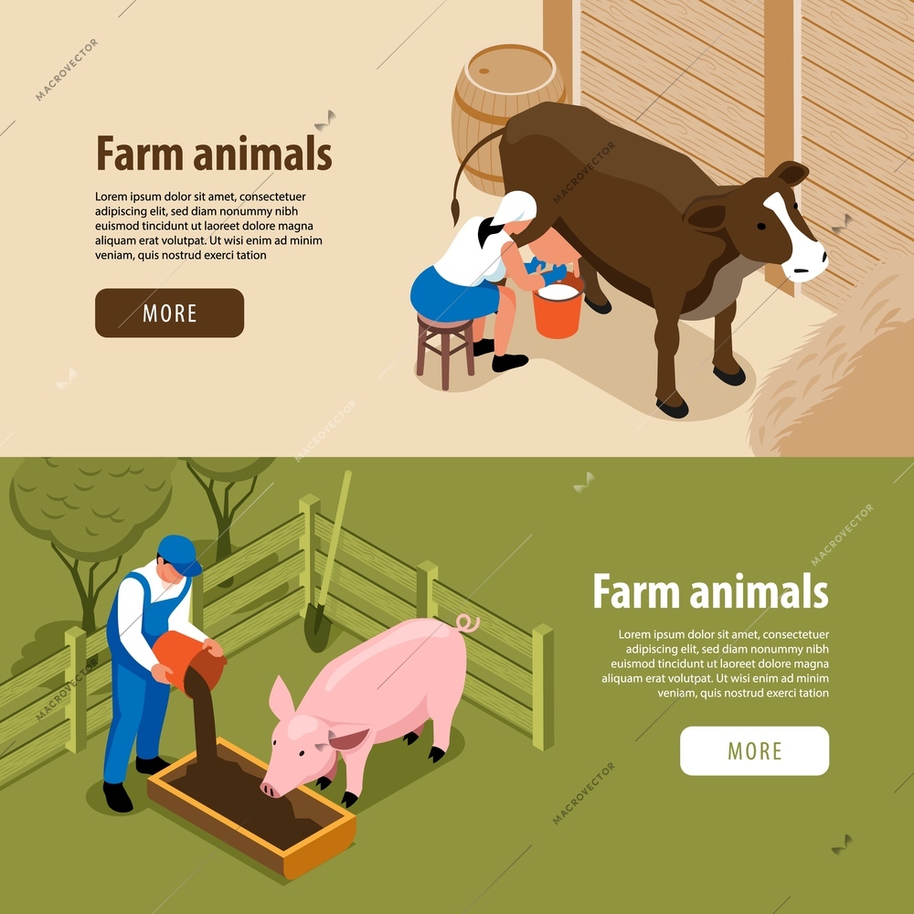 Cattle farm livestock animals 2 horizontal isometric web banners with workers milking cow feeding pig vector illustration