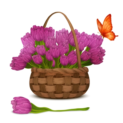 Realistic blossoming tulip flowers in basket with red butterfly isolated on white background vector illustration