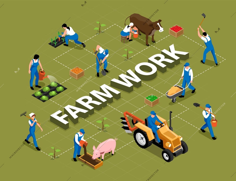 Farm work agricultural duties tools machinery isometric flowchart with milking cow feeding pig harrowing soil vector illustration