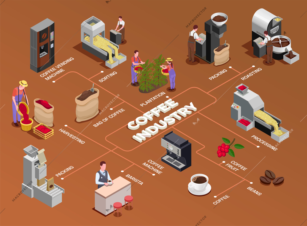 Coffee industry production isometric flowchart with fruits harvesting processing roasting grinding serving freshly brewed beverage vector illustration