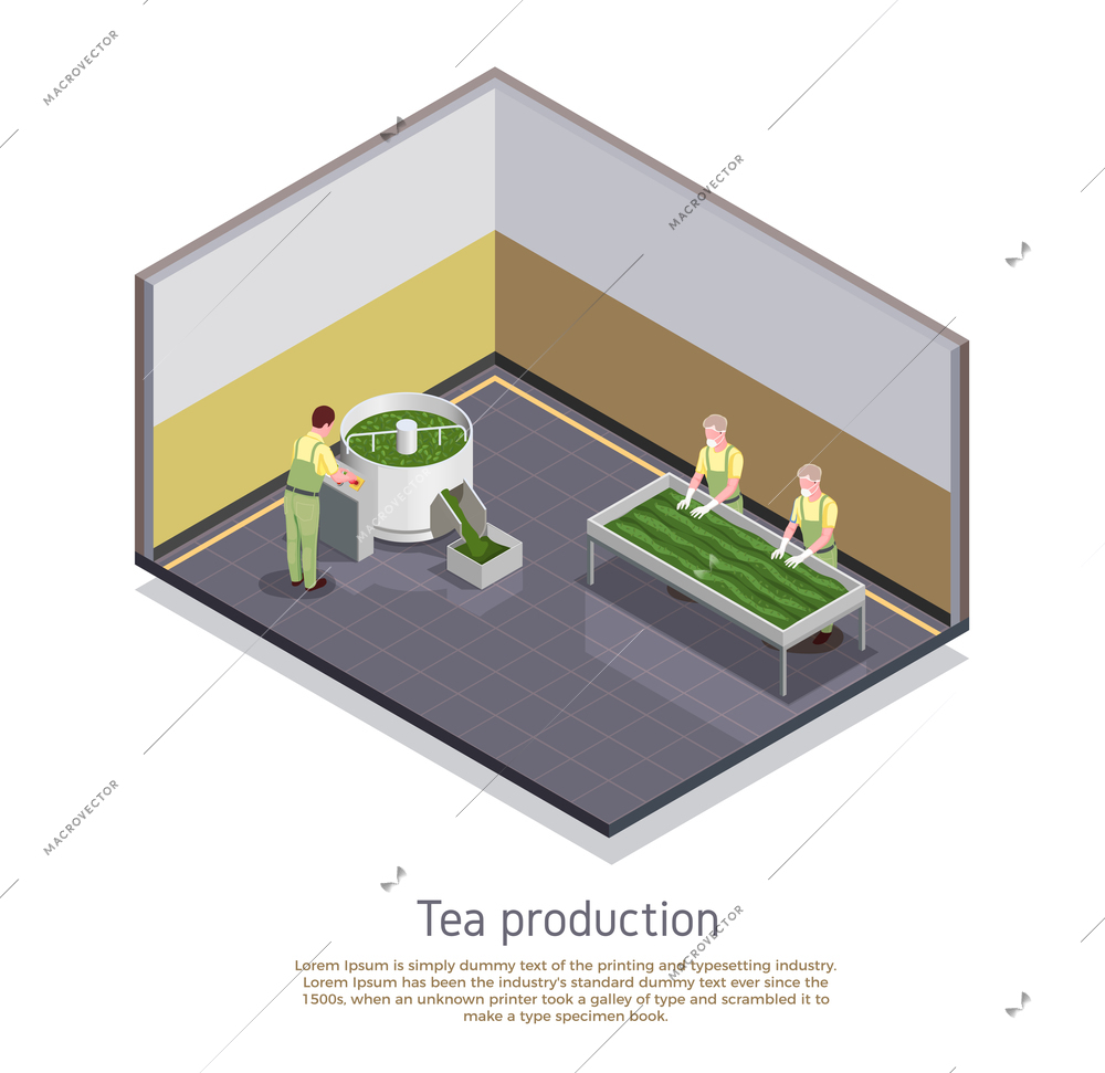 Industrial tea production facility element isometric composition with rolling sorting and withering manufacturing process steps vector illustration