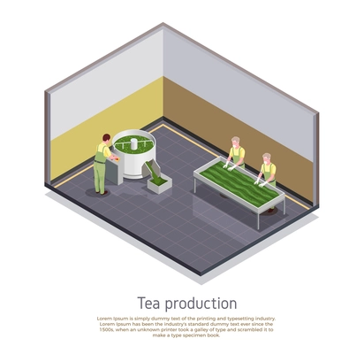 Industrial tea production facility element isometric composition with rolling sorting and withering manufacturing process steps vector illustration