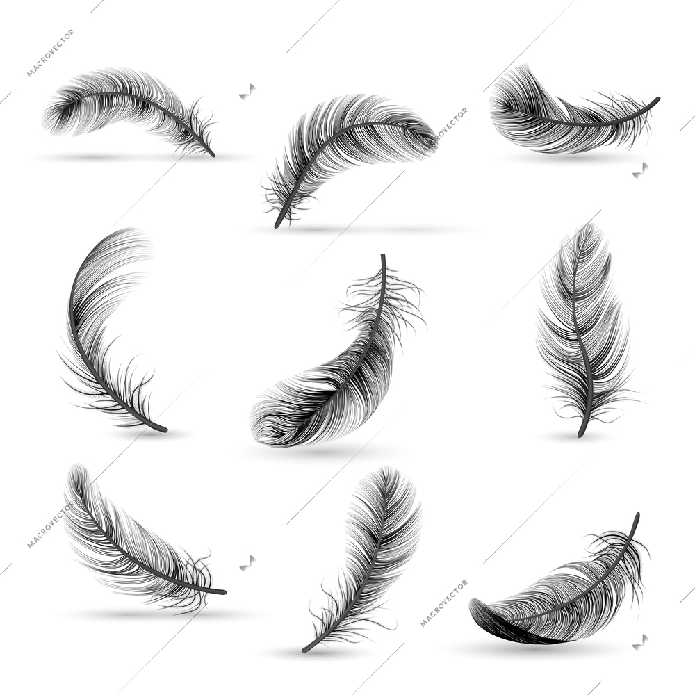 Isolated and realistic feather black icon set feather slowly falling down on white background vector illustration