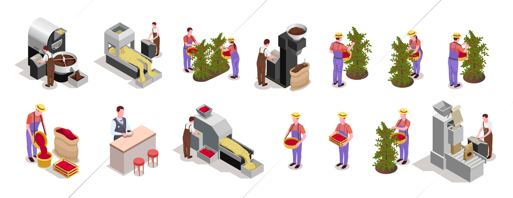 Coffee industry production 2 rows isometric elements with beans harvesting processing roasting packing grinding machines vector illustration